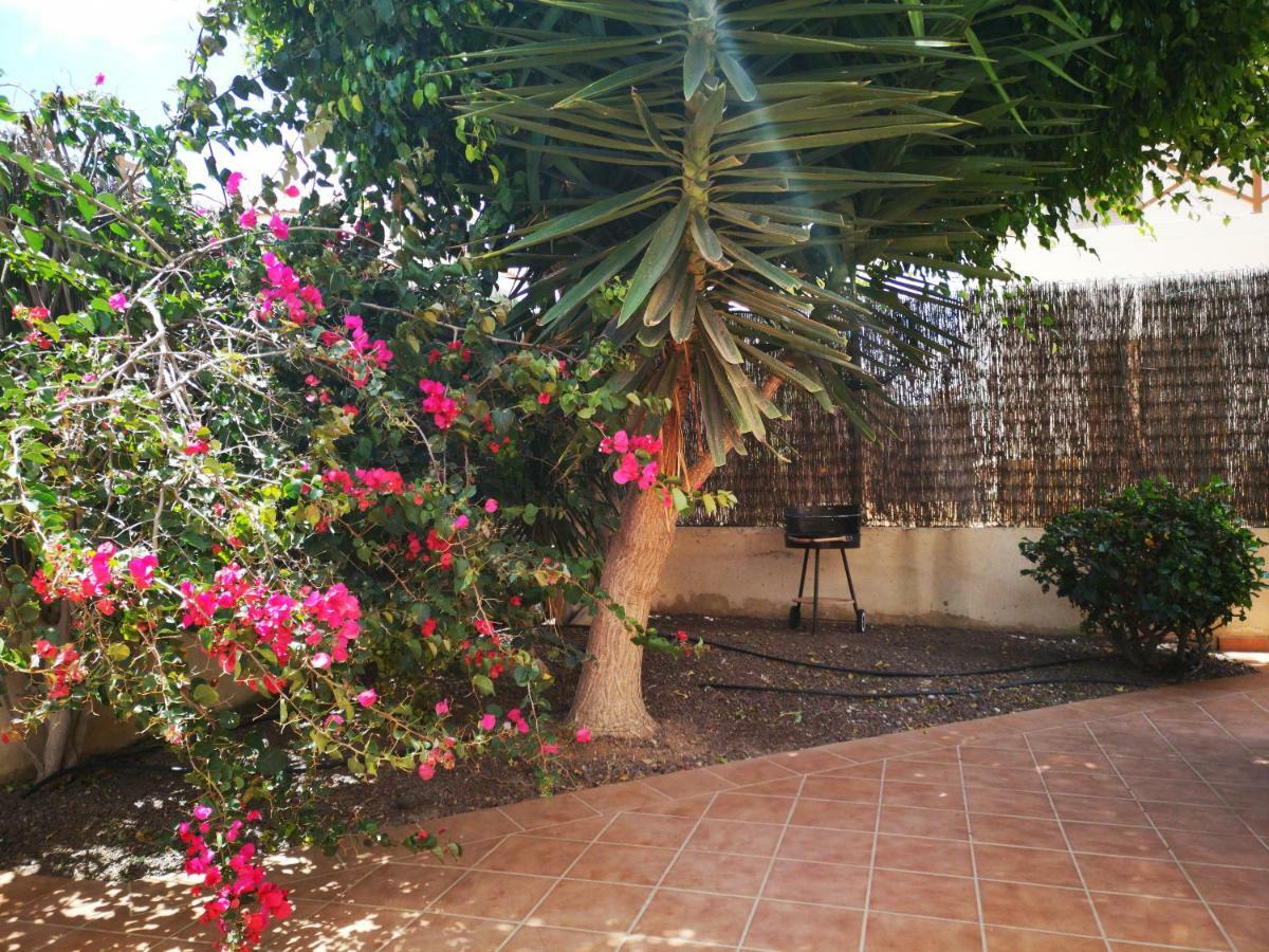 Casa Silencio, With Terrace, Garden And Large Pool Area Vakantiehuis Corralejo